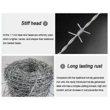 1.6mm 500m 25kgs/roll hot dipped galvanized barbed wire