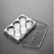 PS Cell Culture Plate Flat Bottom Round Bottom