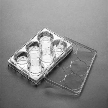 PS Cell Culture Plate Flat Bottom Round Bottom