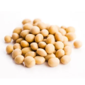 Soybean Extract Soy Isoflavones 20% 40% 80%