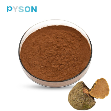 Phellinus Igniarius Extract powder