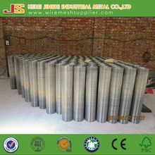 1 Inch Galvanized Welded Mesh Made in China