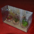 Crafts Clear Folding Box para los productos de la exhibición o las plantas puestas