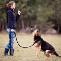 Correa de perro reflectante de nylon Correas de entrenamiento para mascotas