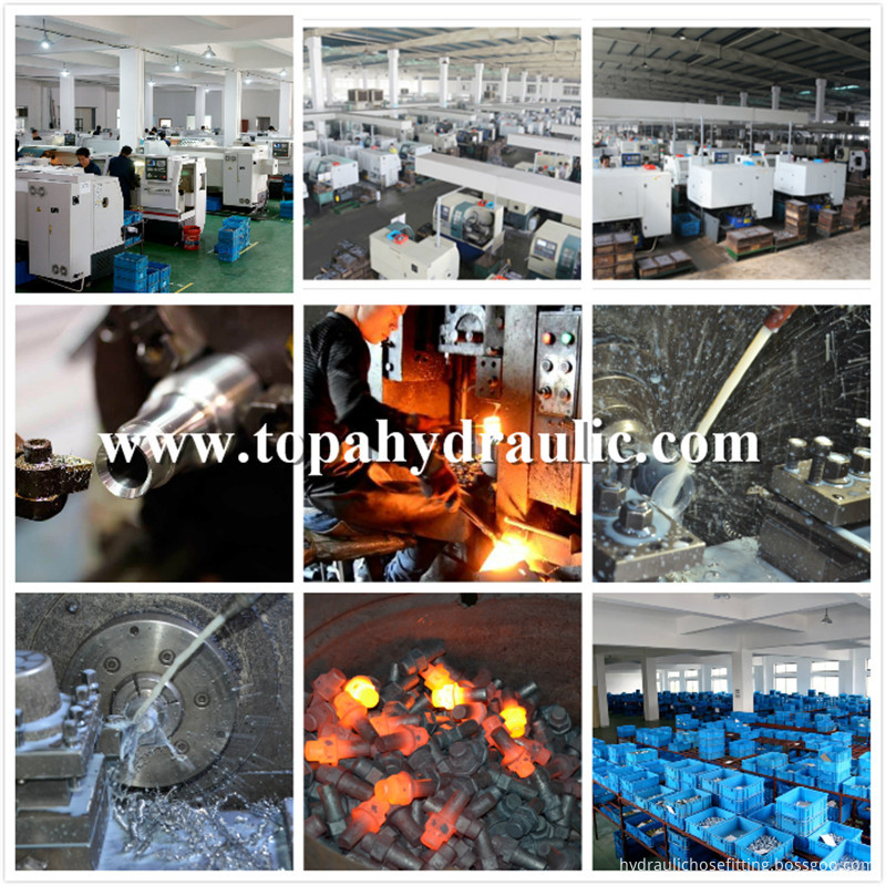 Hydraulic Hose Pipe Fittings