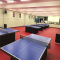 Table Tennis Flooring  ITTF