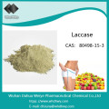 CAS: 80498-15-3 Factoty Supply und Food Grade Enzyme Laccase