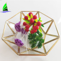 Clear Table Decoration Centerpiece Glass Bowl Terrarium