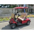 two people small gas power golf cart