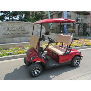 two people small gas power golf cart