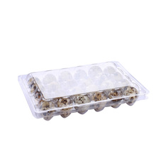 Plateau à œufs de caille blister en plastique transparent