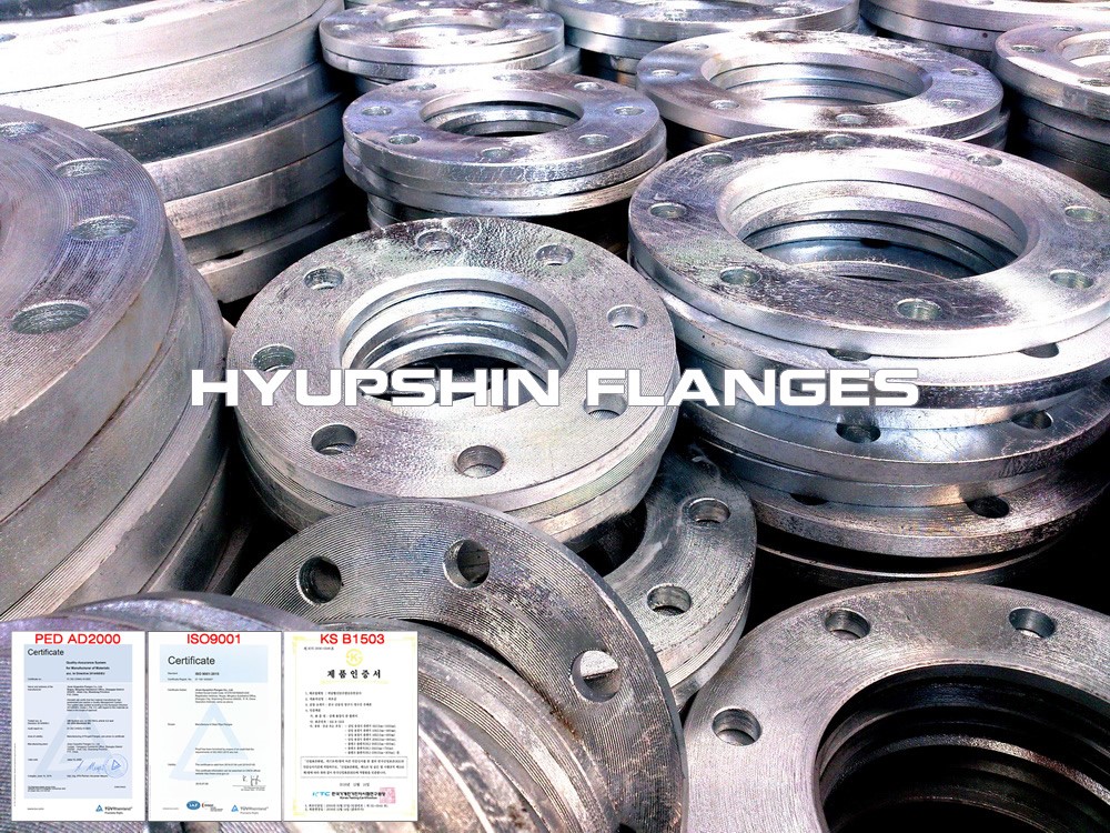 Hyupshin Flanges Sans1123 Backing Ring Hot Galvanized