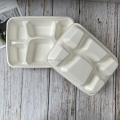 11" Catering Eco-Friendly Biodegradable 6-cpt Tray for Party