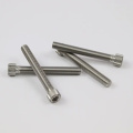 Stainless Steel Hex Bolt with Hex Nut