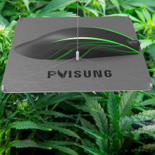 PVISUNG Indoor Plant Lamp