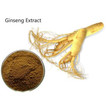 Natural Panax Ginseng Extract Powder