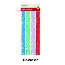Colorful Plastic Straight 30cm Ruler