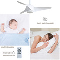 Hight Quality ABS Blades Dc Ceiling Fan