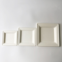 10'' compostable bagasse square white plates