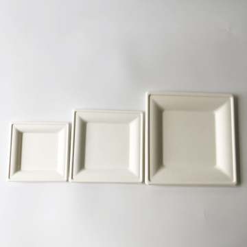 Plaques blanches carrées Bagasse à compostable 10 &#39;&#39;