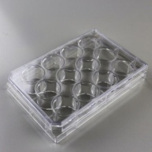 12 Well Cell Culture Plate