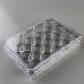 Cell Culture Plates 12 Well