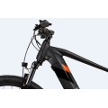 EU Stock Electric Mountain Bicycle