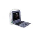 Portable 4D Cardiac Color Doppler Ultrasound Scanner