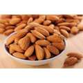 Apricot Kernels Almond Nuts