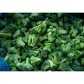 Storage Preservation of Frozen Broccoli