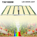 Suministros al por mayor de jardín LED Grow Light Full Spectrum