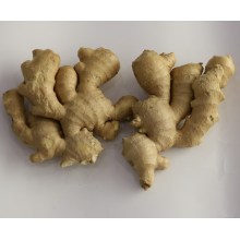 High quality air dry ginger for sale