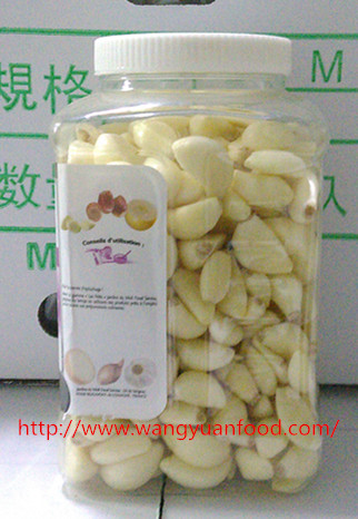 PET Garlic for European and American Countries