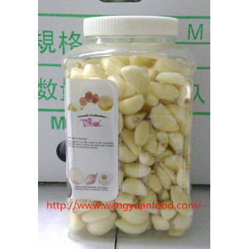 PET Garlic for European and American Countries