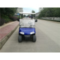 hot sale 2 seater small golf car
