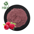 Raspberry ketone freeze dried raspberry juice powder