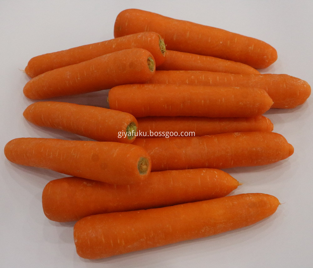 Fresh carrot 