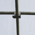 Pince à noeud Purlin galvanisée pour serre