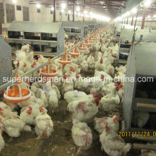 Equipo completo de aves de corral para criadores