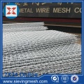 Galvanized Crimped Wire Mesh