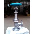 Cast Steel DIN Angle Globe Valve