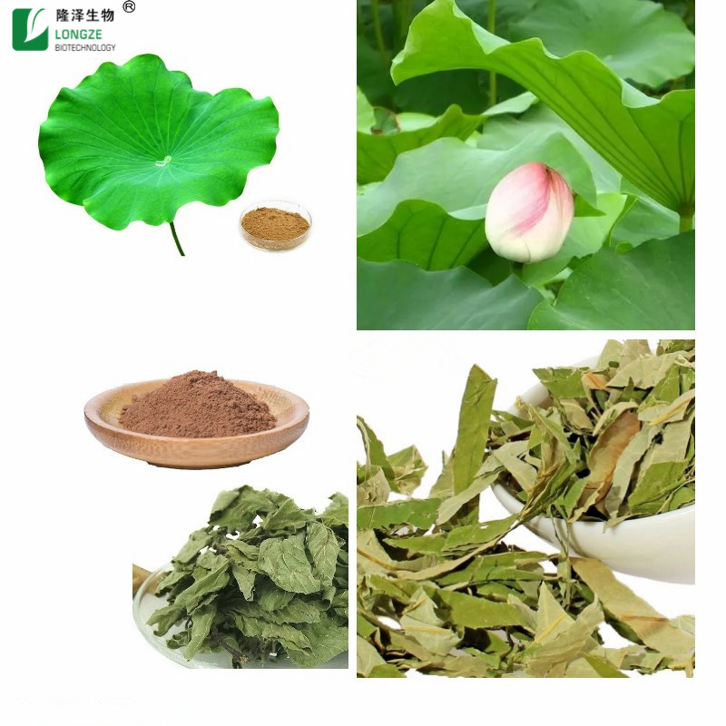 Lotus Leaf Extract 5