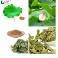 weight loss lotus leaf extract