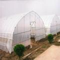 Tunnel Plastic Film Greenhouse the cultivation of vegetables