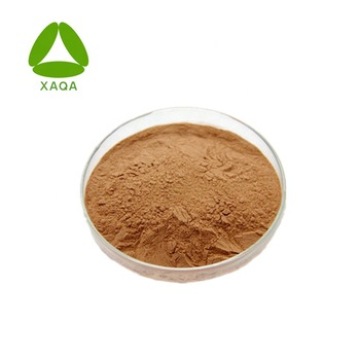 Female Health Care Material Motherwort Extract Powder 10:1