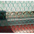 Netting de fil hexagonal enduit de PVC