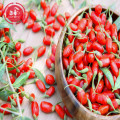 Medicinal Certified healthy Low pesticide Goji Berries
