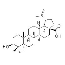 Бетулиновая кислота 472-15-1