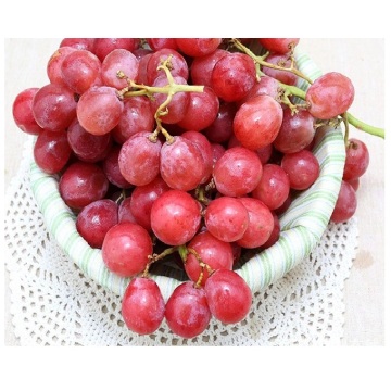 Fresh Red Grape in Yunnan