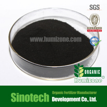 Organic Fertilizer: Humizone Seaweed Extract Powder (SWE-P)